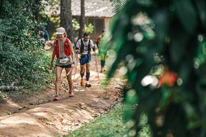 BIB: 
                            <button type="button" onclick="openModal(25275172)" class="btn btn-primary btn-sm float-right btn-popup" data-toggle="modal" data-target=".modal-high-quality">
                        <i class="fas fa-shopping-cart"></i> Add to Cart
                    </button>
                                            <button type="button" onclick="isThisMe(25275172, true)" class="btn btn-success btn-sm float-right btn-popup btn-isme hidden" data-toggle="tooltip" data-placement="bottom" title="นี่คือรูปของคุณใช่ไหม คลิกที่นี่เพื่อเอาเข้าอัลบั้ม">
                        <i class="fas fa-plus"></i> Add to album
                    </button>
                    <button type="button" onclick="isThisMe(25275172, false)" class="btn btn-warning btn-sm float-right btn-popup btn-isnotme hidden">
                        <i class="fas fa-ban"></i> Remove from album
                    </button>